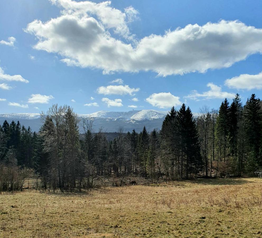 Apartament Nr 16 Szklarska Poręba Eksteriør bilde