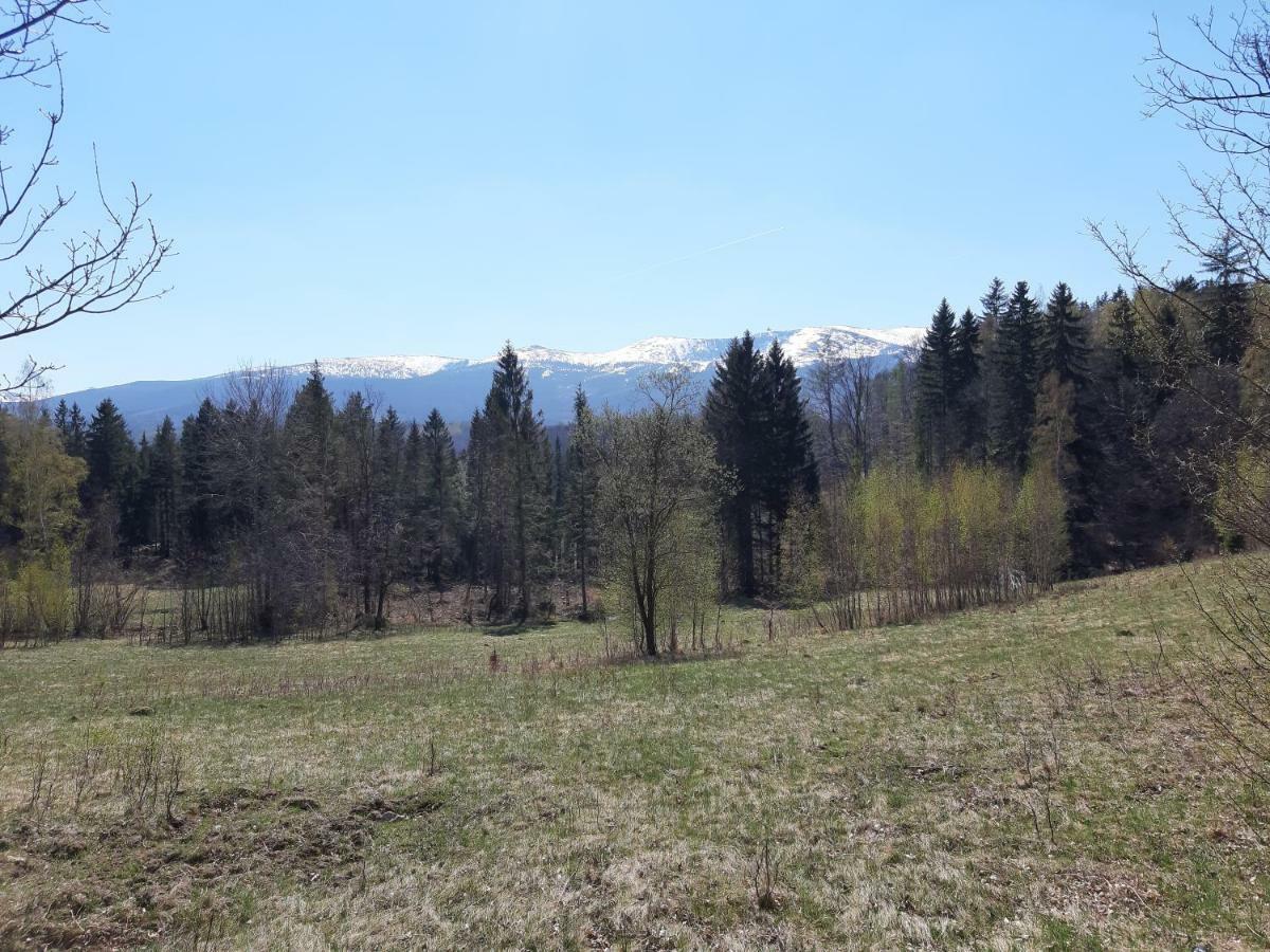 Apartament Nr 16 Szklarska Poręba Eksteriør bilde